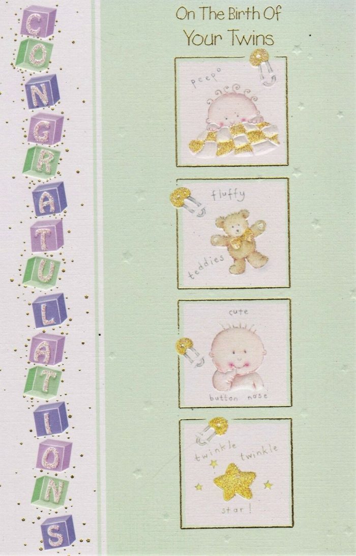 On The Birth Of Your Twins Greeting Card