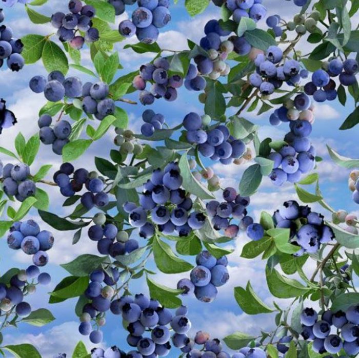 Blueberry Hill - Blueberry Bush Allover Cotton Fabric 110cm wide (per metre)