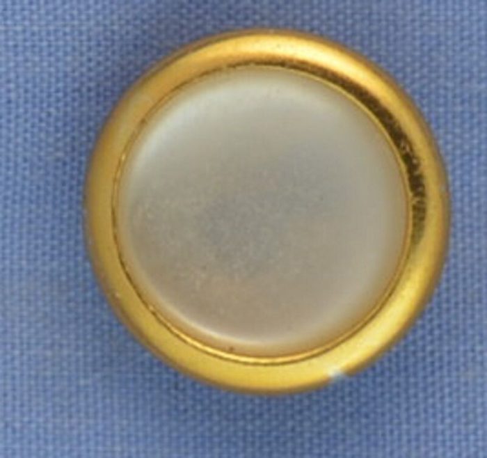 15mm Pearl White / Gold Shank Button (x 2 buttons)
