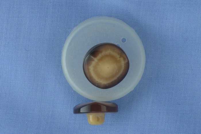 16mm Cream / Brown Contoured Shank Button