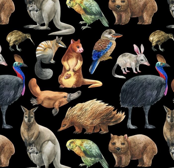Aussie Allovers - Australian Animals Black Cotton Fabric 110cm wide (per metre)