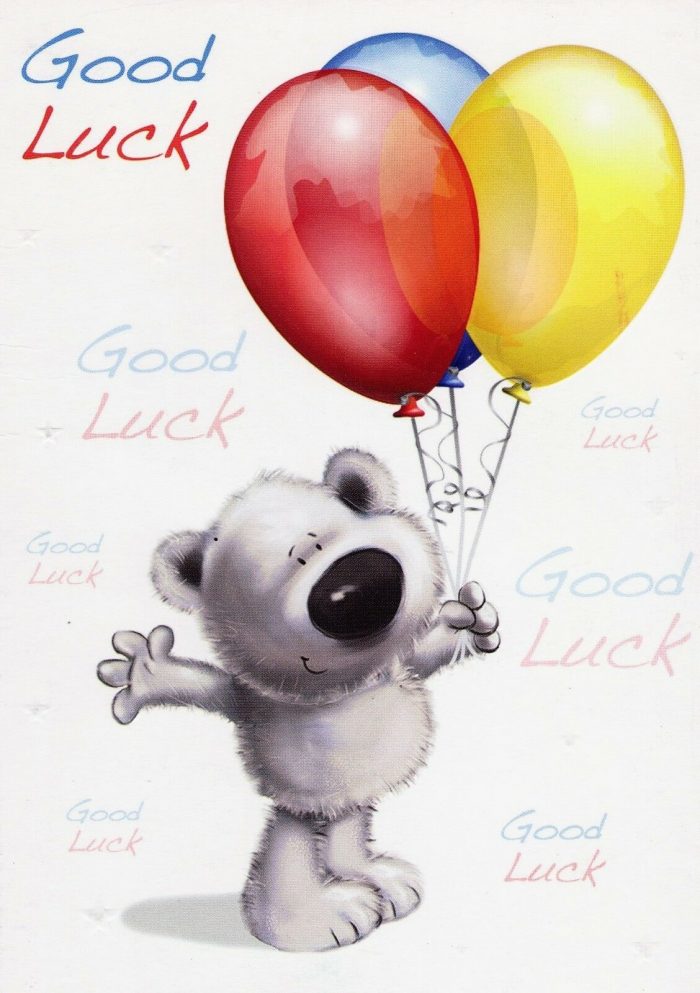 Good Luck Greeting Card