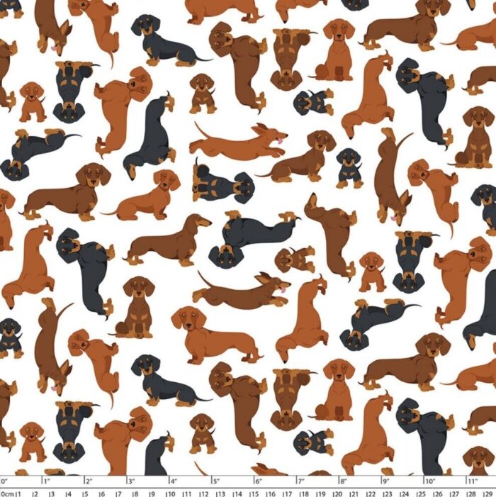 Weiner Sausage Dogs  Cotton Fabric Devonstone DV6603 110cm wide (per metre)